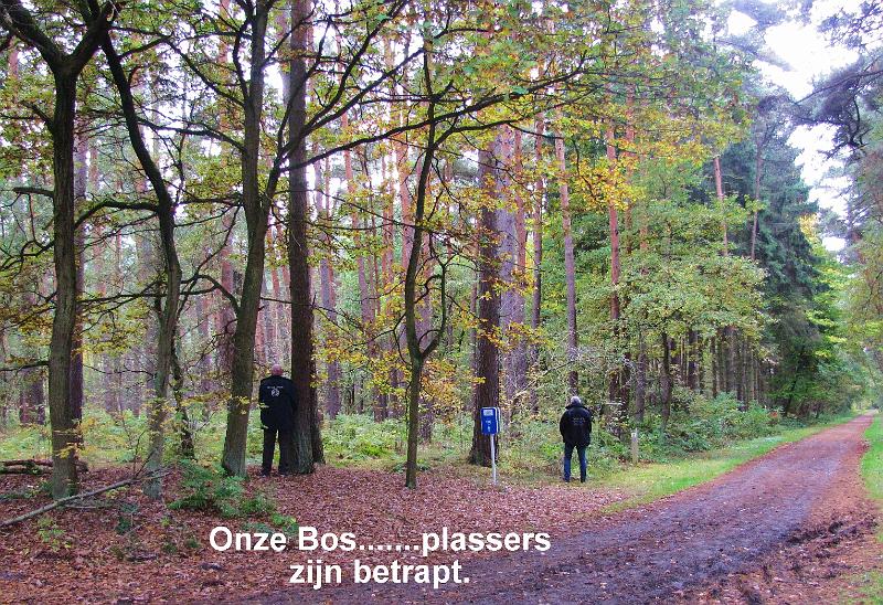 Herfstwandeling op 20-10-2013 (31).jpg